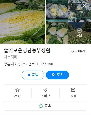 생방송투데이 이 주의 장바구니 평창 배추 네이버 지도