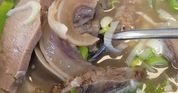 생방송투데이 외국인의 밥상 오스틴 다슬기국밥, 오스틴도 반한 원조동해식당의 비법 5 6시내고향 K맛있을지도 홍성 소머리국밥