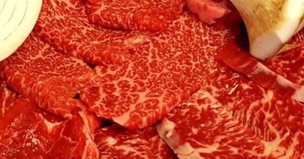 6시내고향 K맛있을지도 홍성 한우