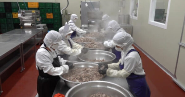 새벽에 음식을 만드는 극한직업 시래기해장국 반찬공장