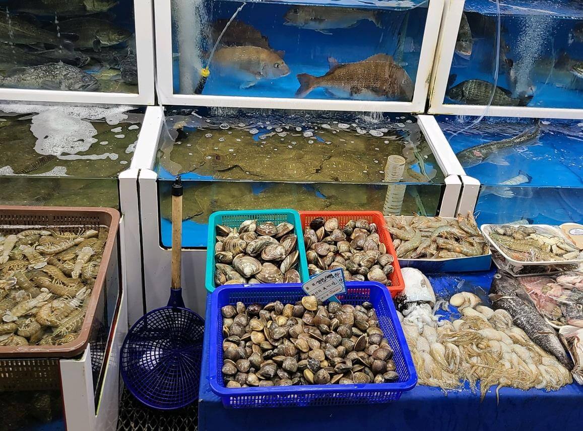 6시내고향 부안상설시장 갑오징어 파는 곳