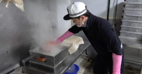 6시내고향 서귀포 안덕 블루베리설기의 매력! 제주 청정지역에서 맛보는 건강한 디저트 3 극한직업 쑥인절미를 찜기에 찌고 있는 모습