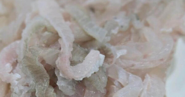 6시내고향 60초를 잡아라 울산중앙전통시장 카레치킨 맛의 비밀! 이모닭집 완전분석 4 6시내고향 60초를 잡아라 울산중앙전통시장 가자미세꼬시 가자미뼈째회