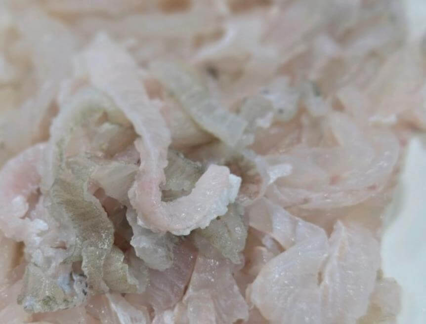 6시내고향 60초를 잡아라 울산중앙전통시장 가자미세꼬시 맛의 비밀! 숙이횟집 완전분석 2 6시내고향 60초를 잡아라 울산중앙전통시장 가자미세꼬시