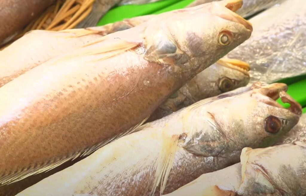 6시내고향 궁평항해오름수산시장 반건조생선 간장게장 택배 가능! 어르신들이 줄 서는 서해안 전통 맛집 2 6시내고향 궁평항해오름수산시장 반건조생선 간장게장 민어