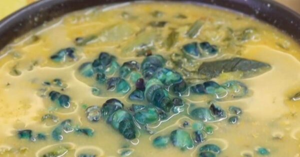 6시내고향 60초를 잡아라 울산중앙전통시장 곰장어소금구이 맛의 비밀 6 6시내고향 영천공설시장 고디탕 뚝배기 한 그릇
