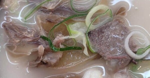 6시내고향 하남덕풍시장 꼬리곰탕 흑염소전골 흑염소수육 파는 식당 5 6시내고향 영천공설시장 소머리곰탕의 뽀얀 육수와 푸짐한 고기