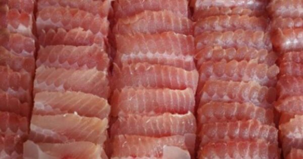 6시내고향 60초를 잡아라 울산중앙전통시장 카레치킨 맛의 비밀! 이모닭집 완전분석 6 6시내고향 정읍샘고을시장 홍어회 홍어무침 전문점에서 파는 홍어회