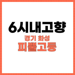 6시내고향 궁평항해오름시장 낙지6시내고향 궁평항해오름시장 낙지 택배 가능! 어르신들이 줄 서는 서해안 청정 해역의 보물 3 6시내고향 화성 피뿔고둥 썸네일