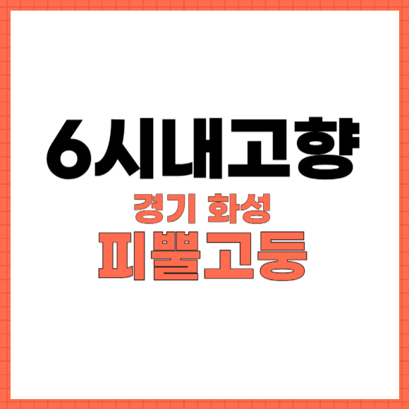 6시내고향 화성 피뿔고둥 맛집 대공개! 궁평항에서 만나는 신선한 해산물 2 6시내고향 화성 피뿔고둥 썸네일
