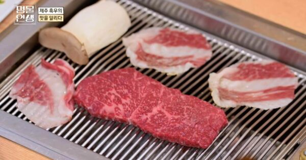명물인생 해남김치 맛의 비밀 김해주 명인의 생새우 육수와 조미료 없는 건강한 맛 4 명물인생 제주 흑우 구이