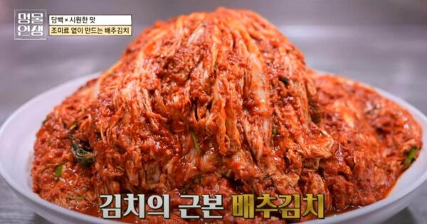 명물인생 초계국수 맛집 발견! 춘천 국수닭에서 만난 박상일 명인의 수타면 메밀치킨 조합 3 명물인생 해남김치 배추김치
