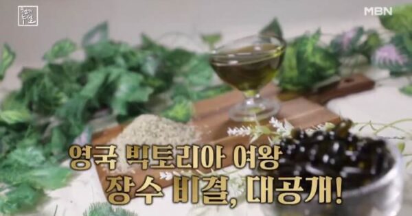 천기누설 스테비아잎 건강 비법 3 천기누설 대마종자유 썸네일