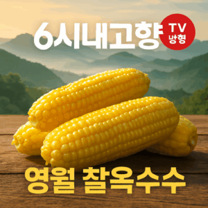 6시내고향 강원도 영월 찰옥수수 썸네일