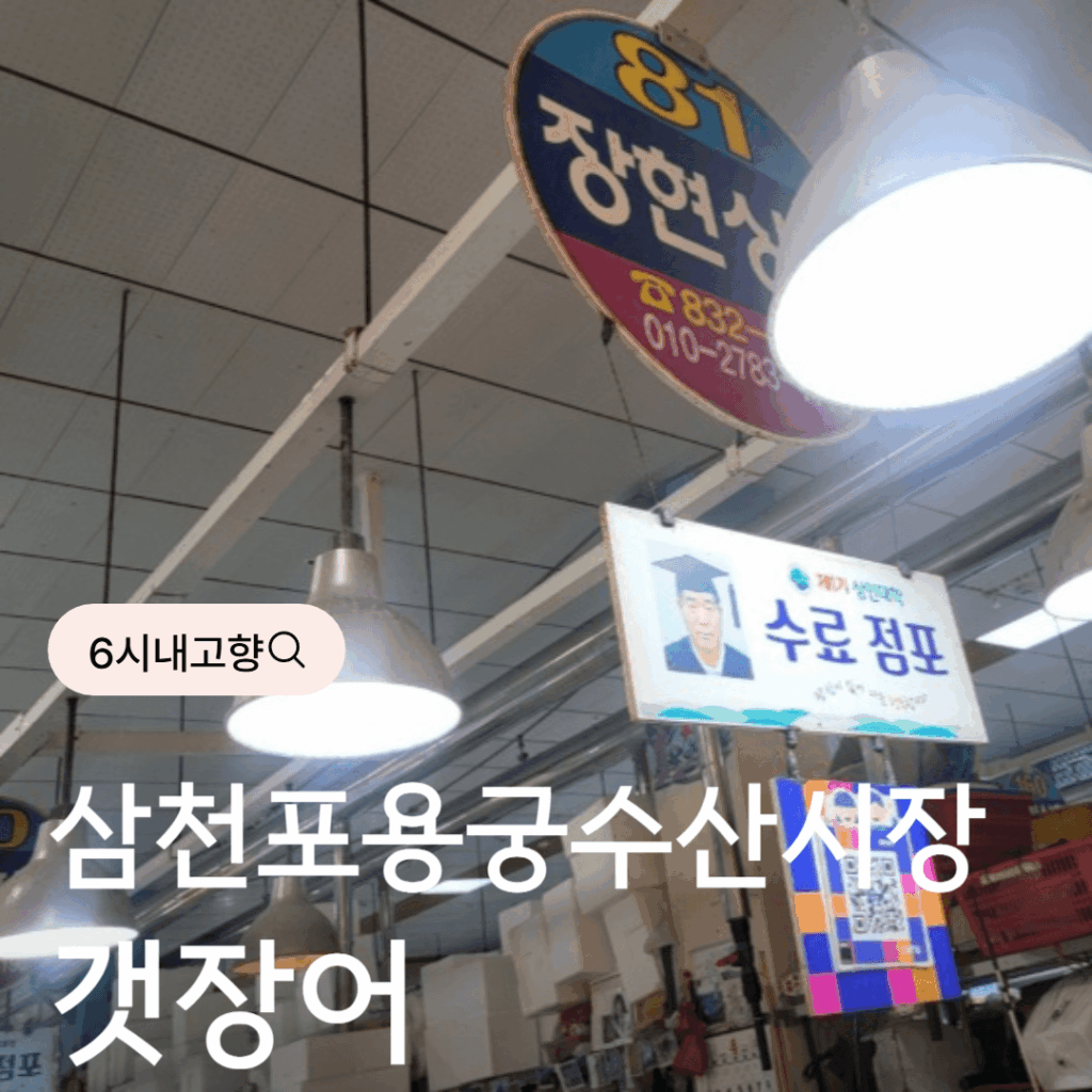 6시내고향 삼천포용궁수산시장 갯장어 택배 주문 방법 가이드 2 6시내고향 삼천포용궁수산시장 갯장어