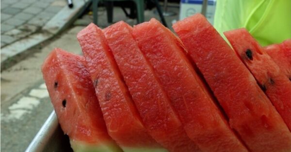 EBS 극한직업 블랙망고수박 아어가지농장 완벽 가이드 3 극한직업 수박 썸네일