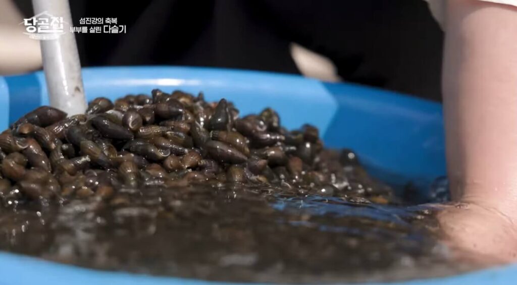 당골집 다슬기 30년 비밀 레시피! 섬진강에서만 맛볼 수 있는 진짜 맛 2 당골집 다슬기