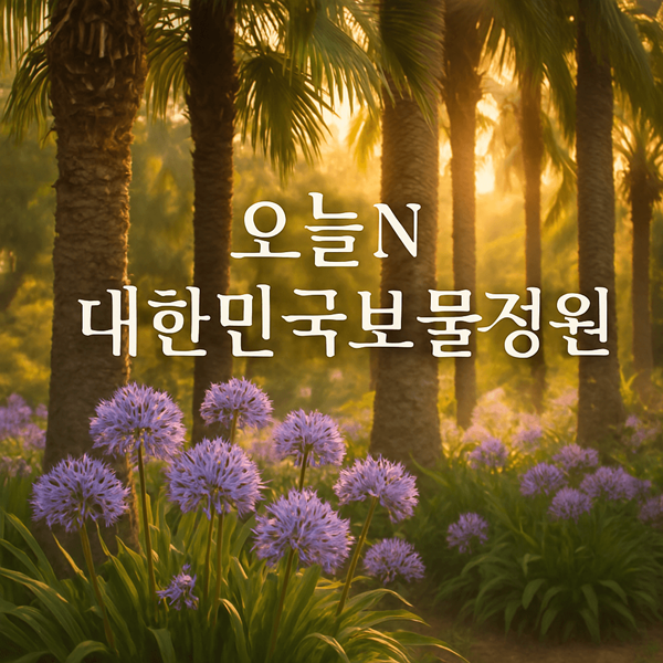 오늘N 대한민국보물정원 야자수정원 아버지를 그리며 가꾸는 감동 스토리 2 오늘N 대한민국보물정원 야자수정원