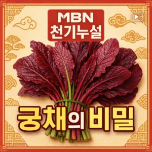 천기누설 누리대 MBN 방송 소개 토종꿀과 함께하는 건강식품 완벽가이드 3 천기누설 궁채 썸네일