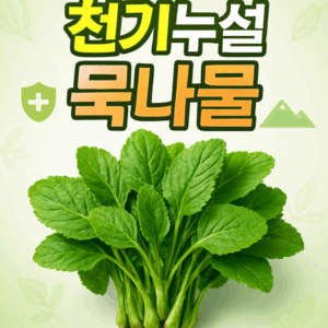 천기누설 우엉잎 방송 후 대란! 혈당 조절 효과가 이 정도라고? 3 천기누설 묵나물 썸네일