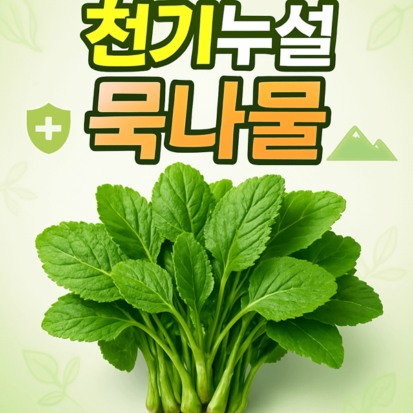 천기누설 묵나물 효능 완벽 정리 지리산 면역력 올리는 나물의 모든 것 2 천기누설 묵나물