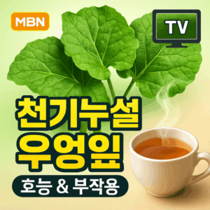 천기누설 레몬즙 효능과 먹는법 완벽 가이드 3 천기누설 우엉잎 썸네일