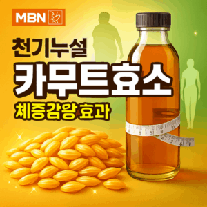 천기누설 우엉잎 방송 후 대란! 혈당 조절 효과가 이 정도라고? 4 천기누설 카무트효소 썸네일