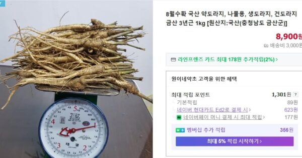 6시내고향 금산 도라지 썸네일