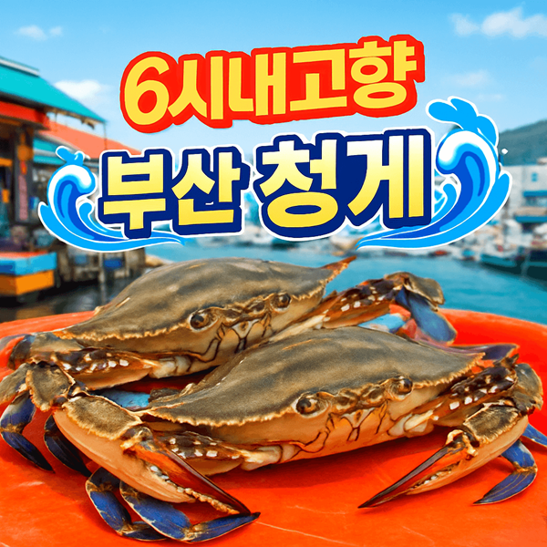 6시내고향 부산 청게 전국 배송 가능! 집에서도 즐기는 부산의 맛 2 6시내고향 부산 청게