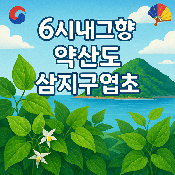 6시내고향 약산도 삼지구엽초 섬섬옥수 특집 2 6시내고향 약산도 삼지구엽초