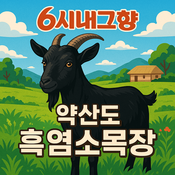 6시내고향 약산도 흑염소목장 섬섬옥수 방송 약산흑염소 영농조합법인 2 6시내고향 약산도 흑염소목장