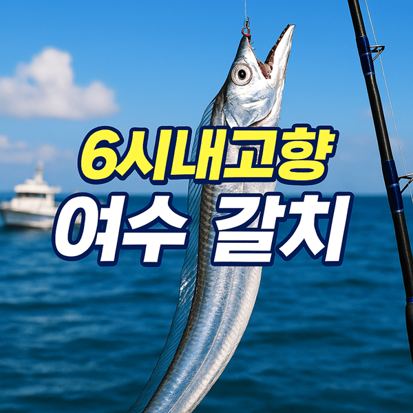 KBS 6시내고향 여수 갈치 특집! 피싱도시어부 루키나호 완벽 가이드 2 6시내고향 여수 갈치