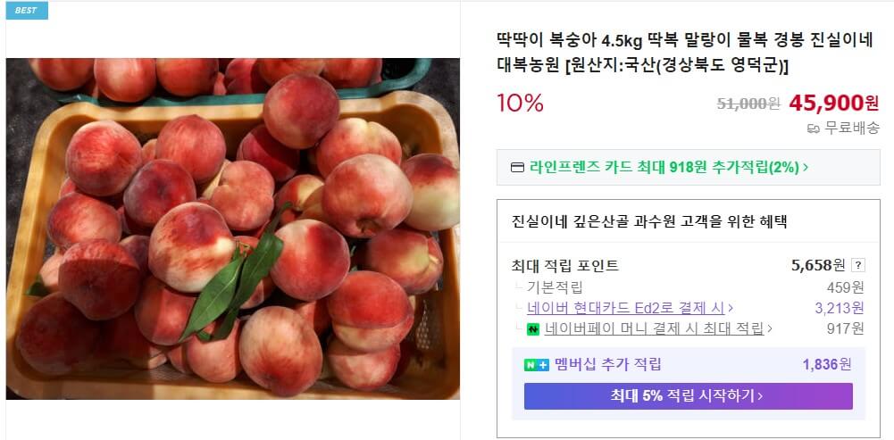 6시내고향 영덕 산골부부 복숭아