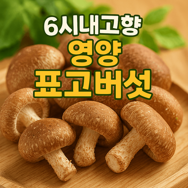 6시내고향 영양 표고버섯이 특별한 이유 5가지 2 6시내고향 영양 표고버섯
