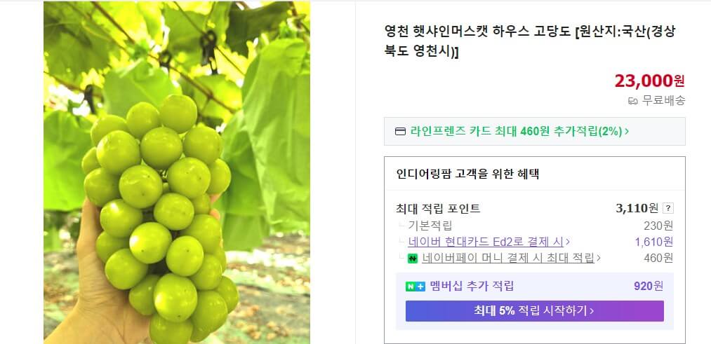 6시내고향 영천 샤인머스캣