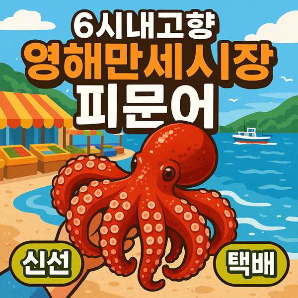 6시내고향 영해만세시장 피문어 완전 정복! 가격부터 택배 주문까지 한 번에 해결 2 6시내고향 영해만세시장 피문어