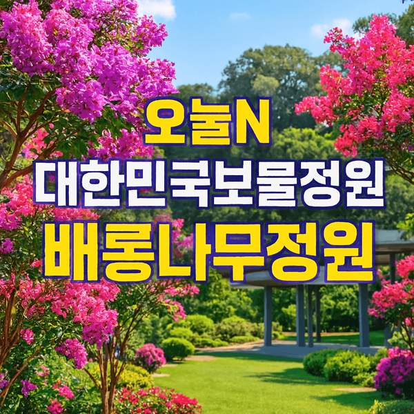 MBC 오늘N 대한민국보물정원 배롱나무정원 아덴 플러스 가야점 완벽 가이드 2 오늘N 대한민국보물정원 배롱나무정원