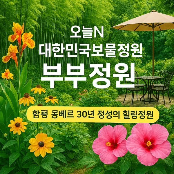오늘N 대한민국보물정원 부부정원 30년 정성의 힐링정원 2 오늘N 대한민국보물정원 부부정원