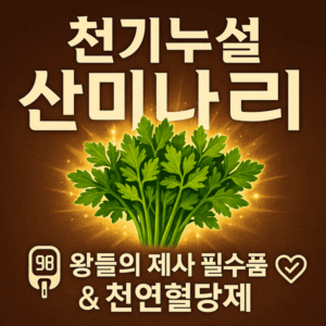 천기누설 조선호박 완벽 가이드 신토불이 토종호박의 모든 것 3 천기누설 산미나리 썸네일
