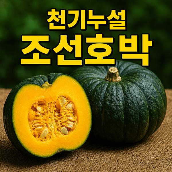 천기누설 조선호박 완벽 가이드 신토불이 토종호박의 모든 것 2 천기누설 조선호박