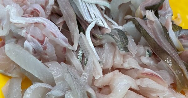 한국기행 무한리필자연회 썸네일