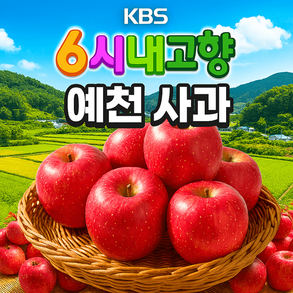 6시내고향 고향투어 예천 사과가 전국을 홀린 달콤한 비밀 2 6시내고향 고향투어 예천 사과 썸네일