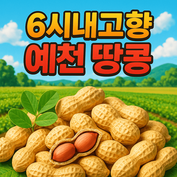 6시내고향 예천 땅콩 파는곳 총정리 신선한 햇땅콩 구매법 2 6시내고향 예천 땅콩