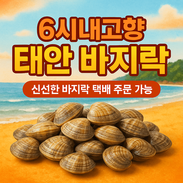 6시내고향 태안 바지락 전국배송 가능! 제철 바지락 주문 2 태안 바지락 썸네일