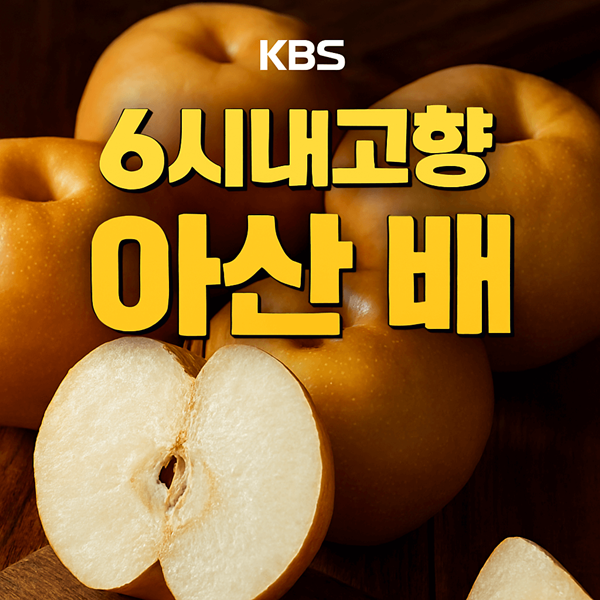 6시내고향 홍보장사 아산 배, 한 입이면 중독되는 달콤함 2 6시내고향 홍보장사 아산 배 썸네일
