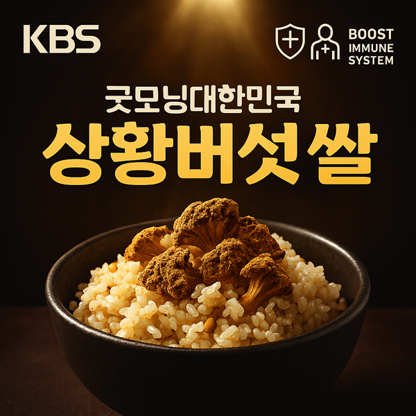 굿모닝대한민국 상황버섯쌀 썸네일