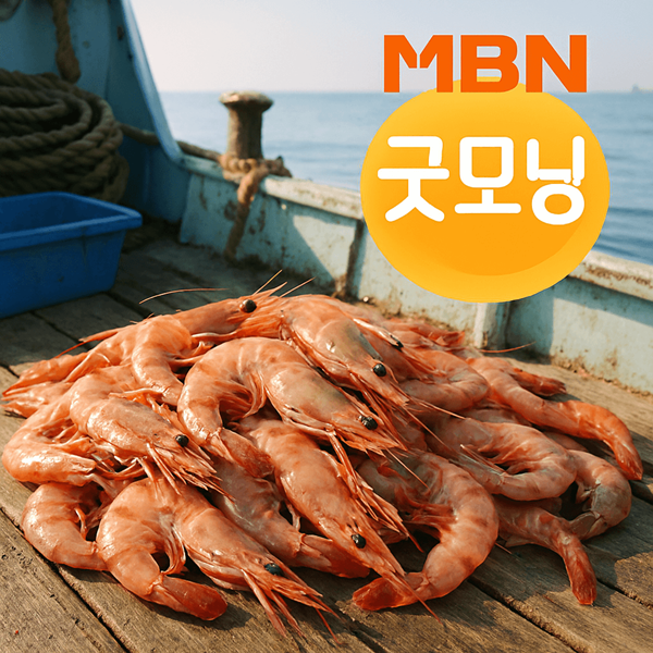 매일아침 대하 홍성 남당항 편식당 메뉴 위치 2 방금 잡아 올린 매일아침 대하