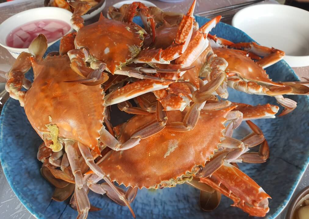 오늘N 지금은 제철이다 꽃게 놓치면 후회하는 9월 꽃게잡이 대박 현장 2 오늘N 지금은 제철이다 꽃게로 만든 꽃게찜
