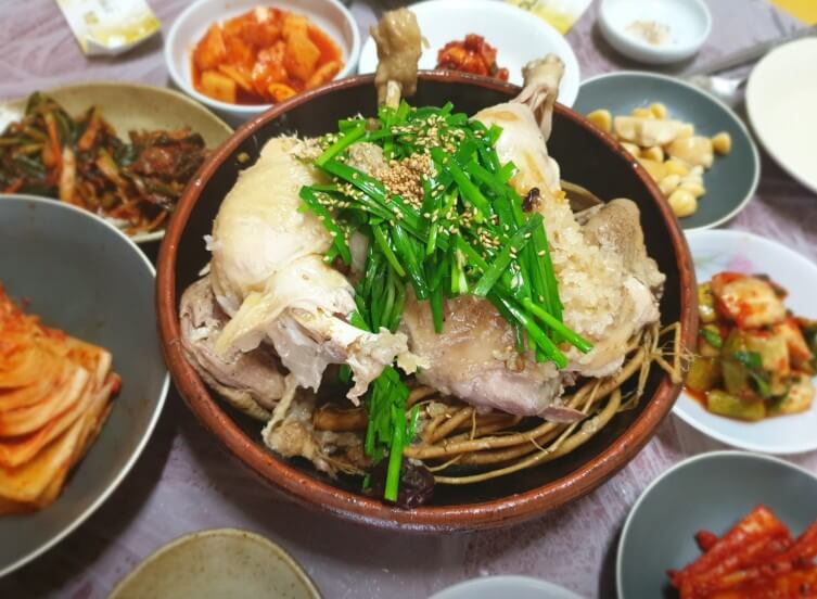 오늘N 청학동 삼시세끼 민박집 토종닭백숙