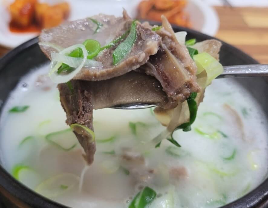 6시내고향 익산구시장 소머리국밥 고기를 푸짐하게 숟가락으로 뜬 모습